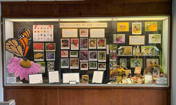 Pollinator display at a Delaware county library