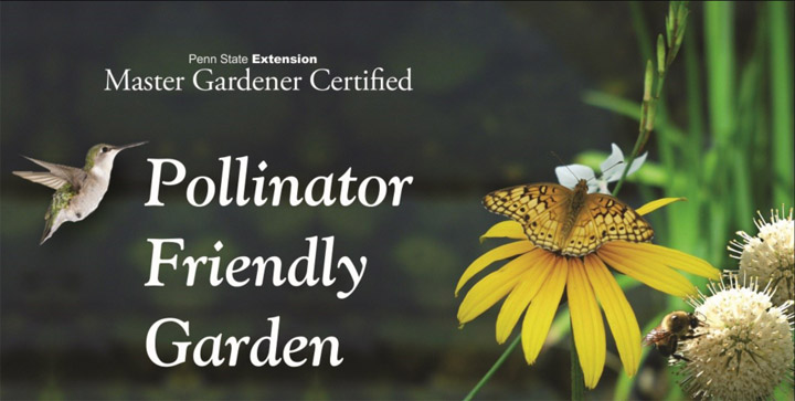 Pollinator Friendly Garden