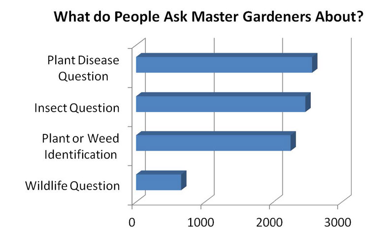 Questions to Master Gardeners - 2012