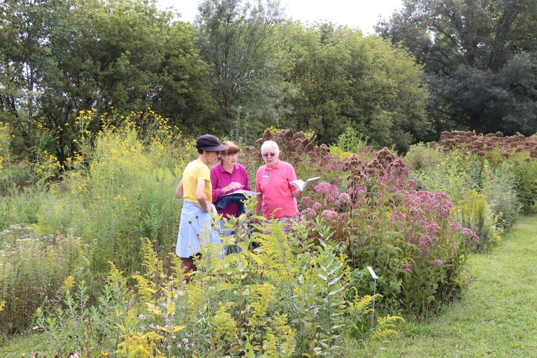 Master Gardeners monitoring pollinators