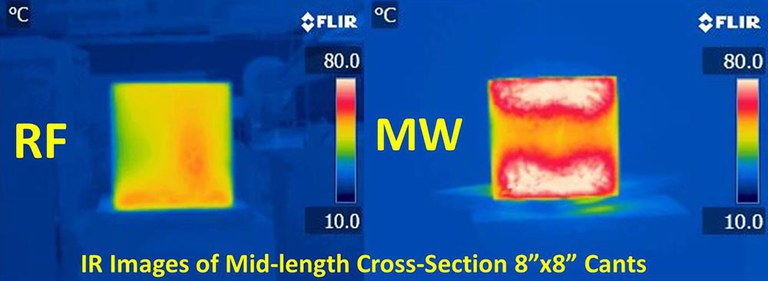 Infra Red images of RF and MW heated wood